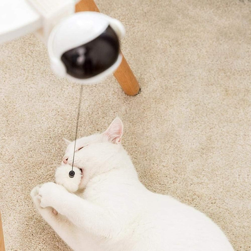 Automatic Pet Teasing
